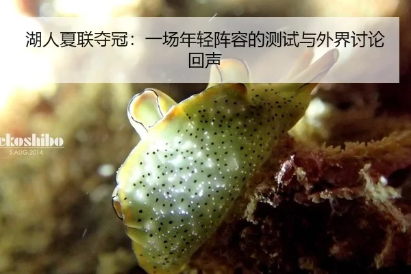 湖人夏联夺冠：一场年轻阵容的测试与外界讨论回声