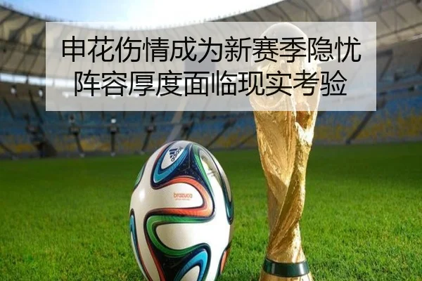 申花伤情成为新赛季隐忧 阵容厚度面临现实考验